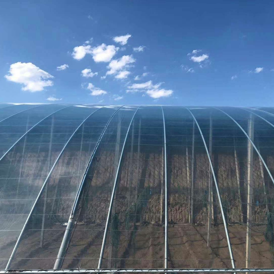 消霧膜 消霧膜